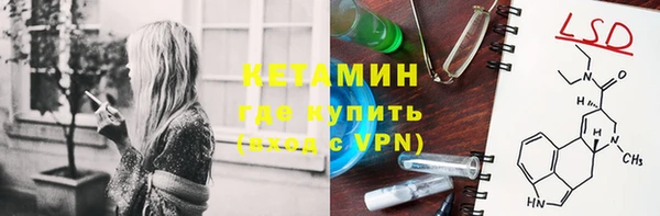 ПСИЛОЦИБИНОВЫЕ ГРИБЫ Михайлов