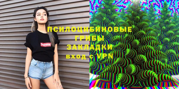 MDMA Premium VHQ Михайловка