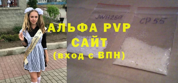 ПСИЛОЦИБИНОВЫЕ ГРИБЫ Михайлов