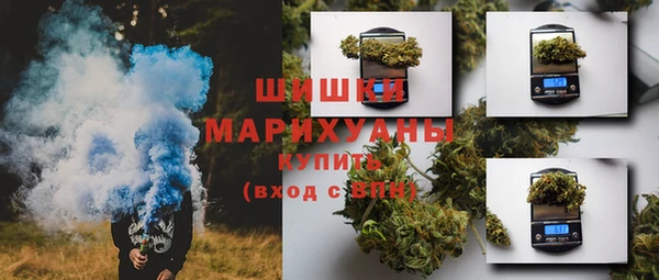 ПСИЛОЦИБИНОВЫЕ ГРИБЫ Михайлов