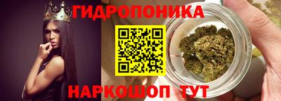 кокс Гусев