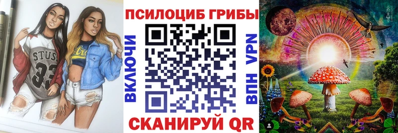 хочу   Геленджик  Псилоцибиновые грибы мицелий 