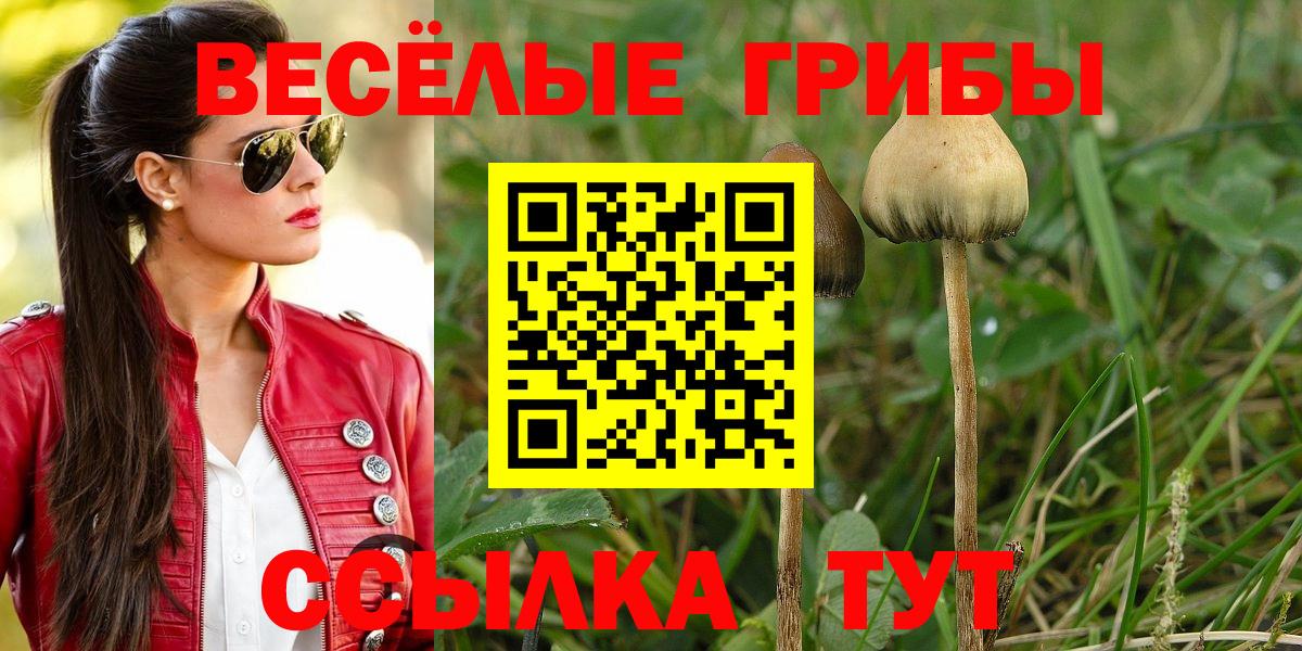 Галлюциногенные грибы мицелий  Галлюциногенные грибы GOLDEN TEACHER  Геленджик  Вход с VPN 