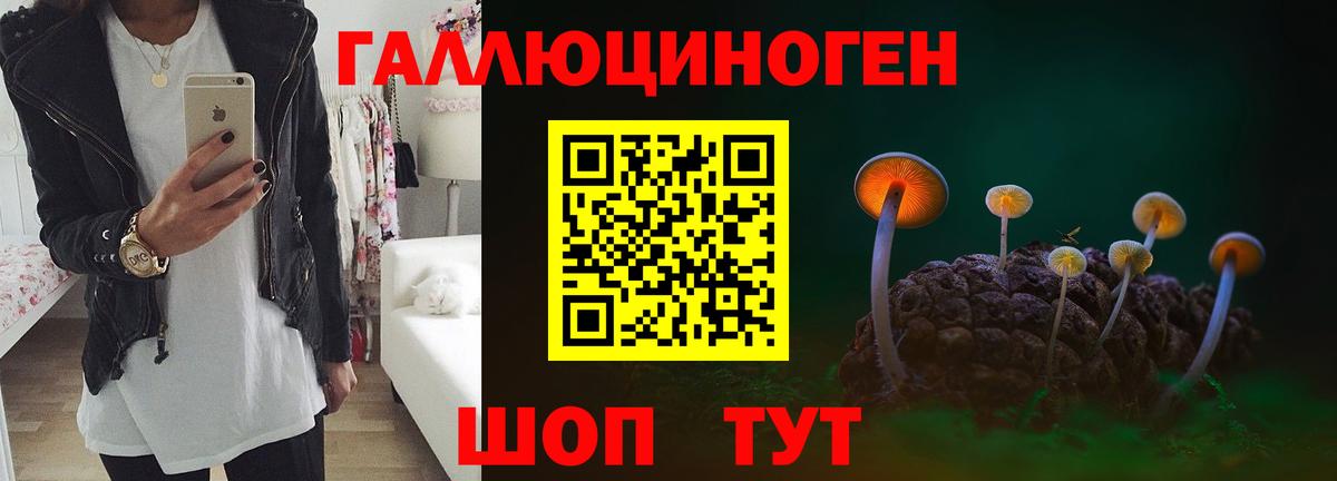 Галлюциногенные грибы MAGIC MUSHROOMS Геленджик